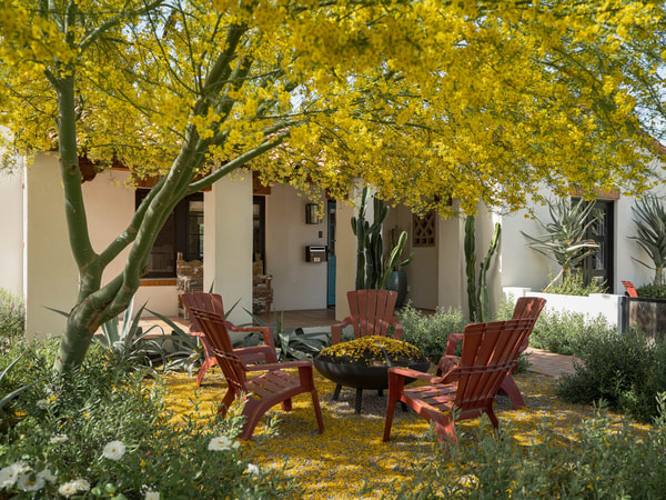 Yardzen Signature Backyard Design Package Review