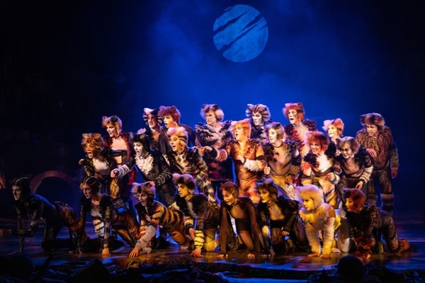 Yas Island Abu Dhabi CATS The Musical Package Review