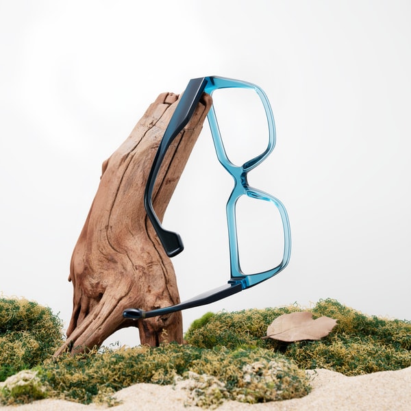 Affordable Online Eyewear with Trade-Offs