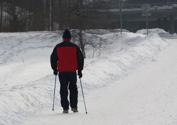 York Nordic Review