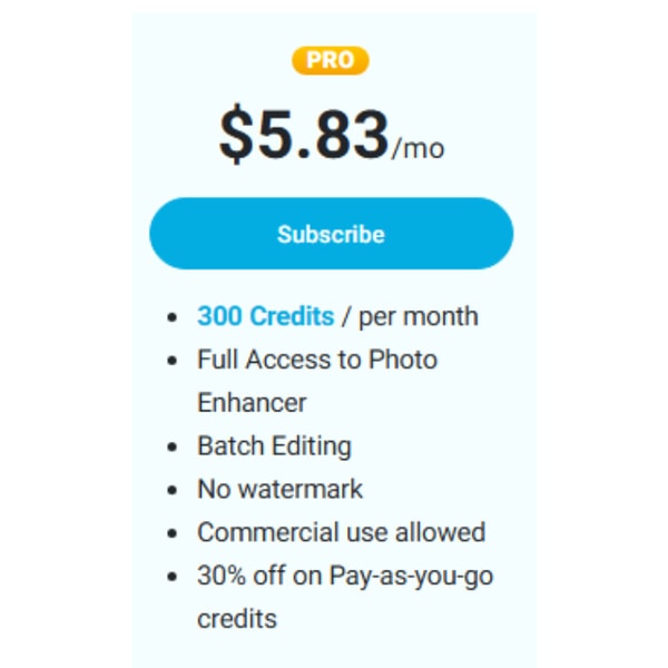 YouCam Online Editor Pro Review