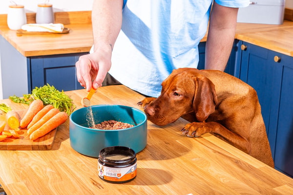 Your Pet Nutrition Canine Prime Review