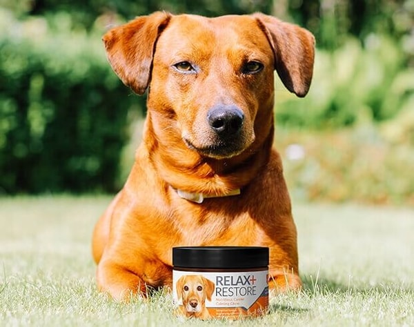 Your Pet Nutrition Relax + Restore Review