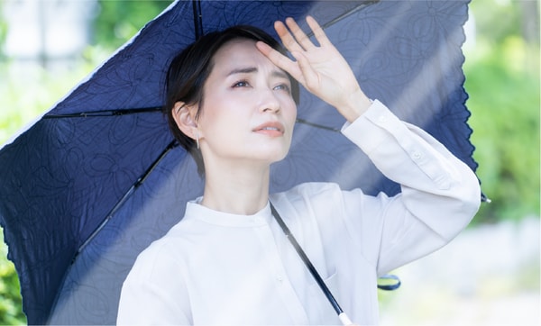 YS Labo レビュー