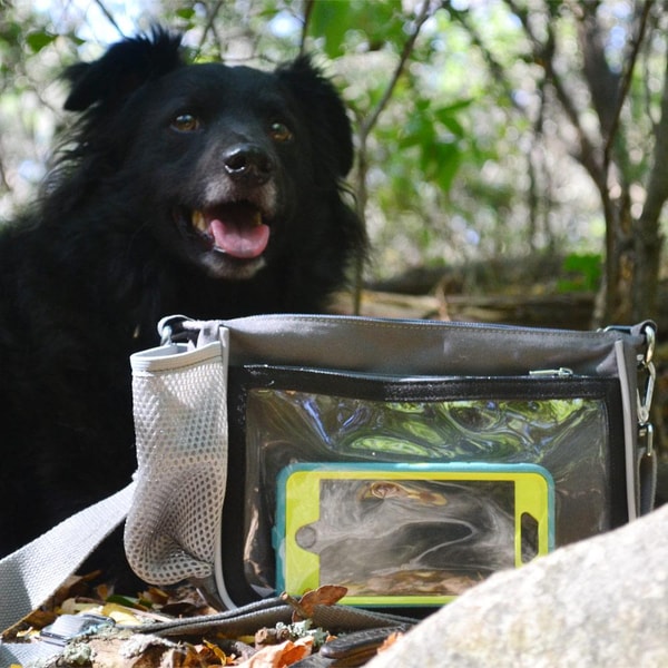 Yucky Puppy Review
