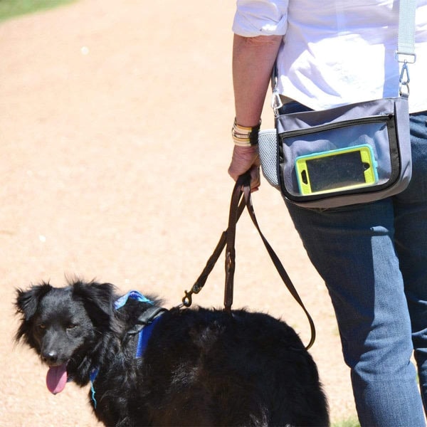 Yucky Puppy Crossbody YUCKY PUPPY Dog Walking Bag + Dog Treat Bag Review
