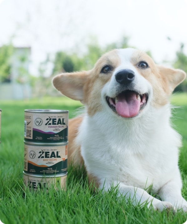 Is ZEAL Pet Food Worth It?