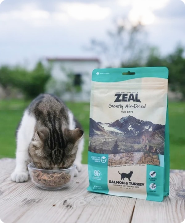 ZEAL Pet Food Reviews: What Do Customers Think?