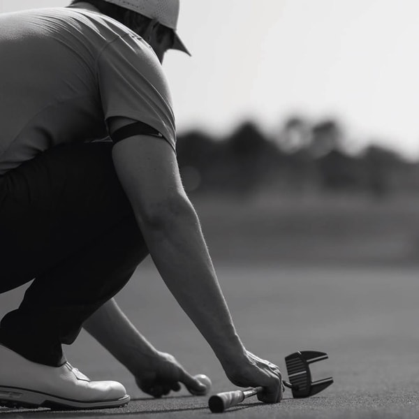 About Zebra Golf