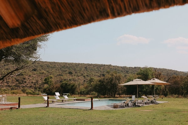 Overview of Zebras Crossing Lodge
