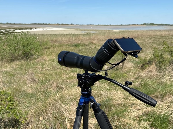 About ZEISS