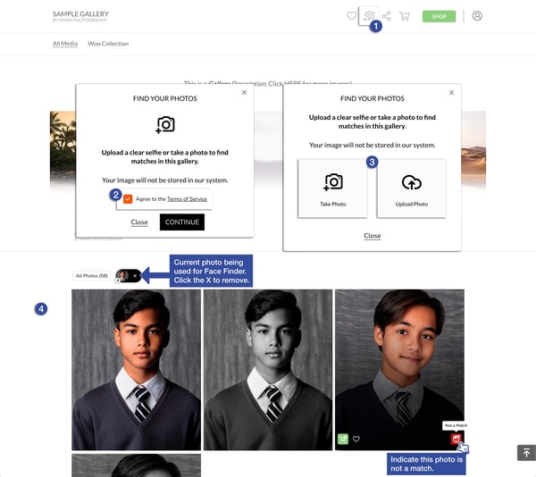 Zenfolio Portfolio Review