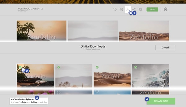 Zenfolio ProSuite Review