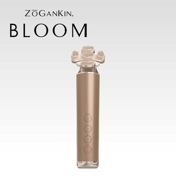 ZOGANKIN BLOOM レビュー