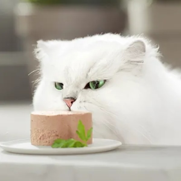 Zooplus Purina Gourmet Gold Mousse Avalia&ccedil;&atilde;o
