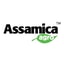 Assamica Agro discount codes