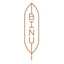 BINU Beauty gutscheincodes