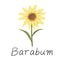Barabum Fashion coupon codes