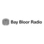 Bay Bloor Radio coupon codes