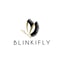 Blinkifly coupon codes