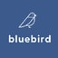 Bluebird coupon codes
