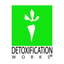Detoxification Works coupon codes