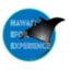 Hawaii Efoil Experience coupon codes