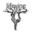 Lifevine Wines coupon codes