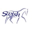Swish Equestrian discount codes