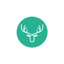 Turquoise Moose coupon codes