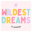 Wildest Dreams Flowers discount codes