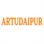 ArtUdaipur coupon codes