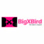 BigXBird coupon codes