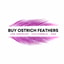 Buy Ostrich Feathers coupon codes