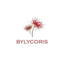 Bylycoris coupon codes
