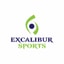 Excalibur Sports discount codes