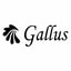 Gallus Italy discount codes