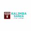 Kalimba Sanza codes promo
