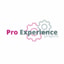 Pro Experience Projects coupon codes