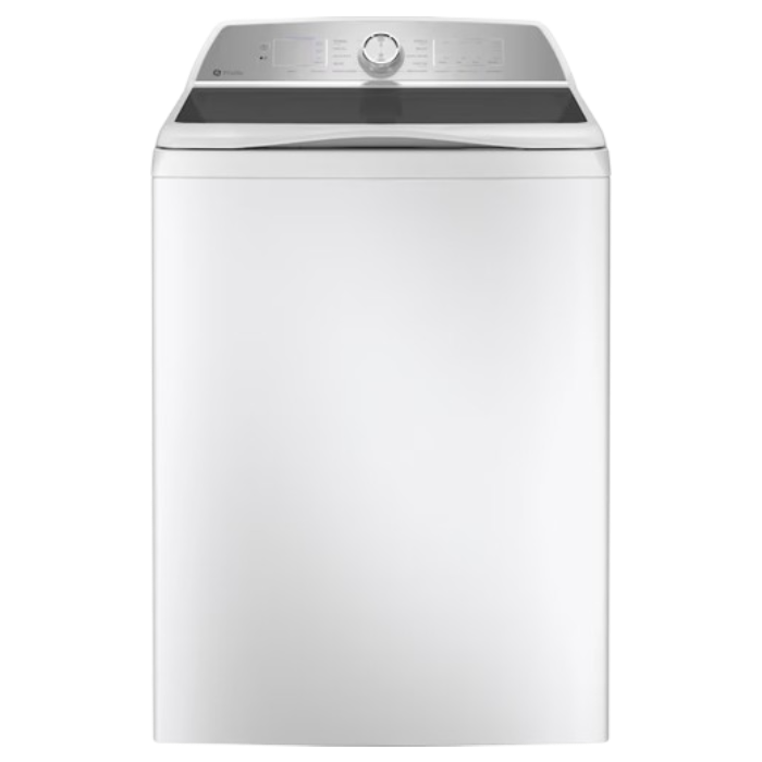 GE PTW600BSRWS