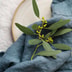 Rough Linen