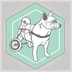 Best Friend Mobility