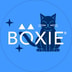 Boxie Cat
