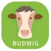 Budwig