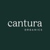 Cantura