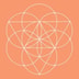 Conscious Items