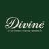Divine Chocolate