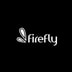 Firefly Airlines