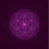 Free Soul Holistic