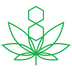 Grow Light Science